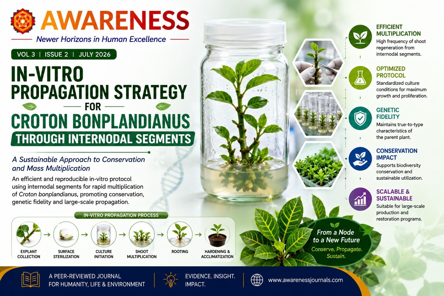 In Vitro Propagation Strategy for Croton bonplandianus through Internodal Segments